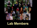 Members of the lab