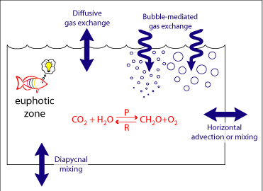 Gas Processes