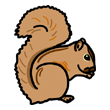 squirrel-vb (5K)