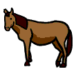horse-vb (2K)