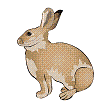 rabbit (2K)