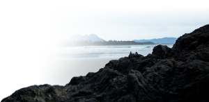 Long Beach, Tofino