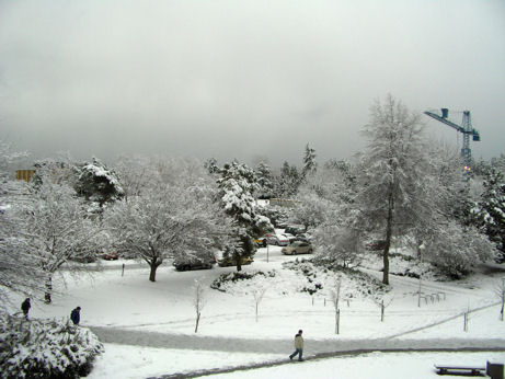 http://web.uvic.ca/ling/assets/images/2006misc/snow.jpg
