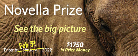 Novella Prize 2022