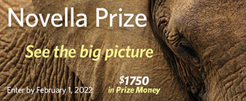 Novella Prize contest