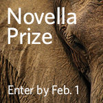 Novella Prize shortlist