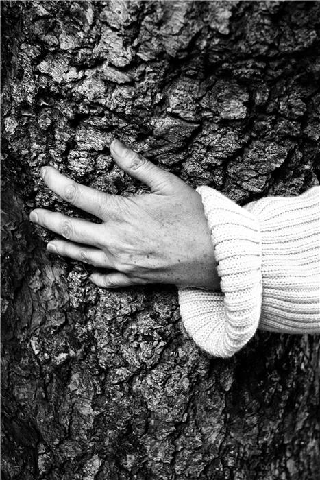 A hand on a tree.