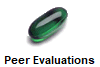 Peer Evaluations