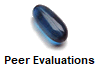 Peer Evaluations