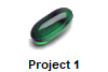 Project 1