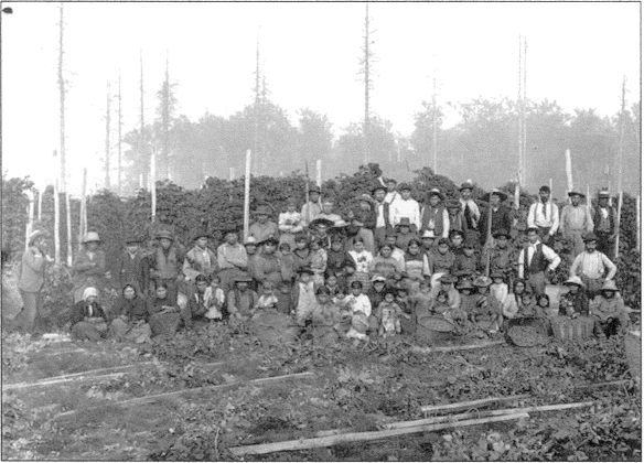 Aboriginal hop-pickers
