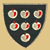 Shield Graphic