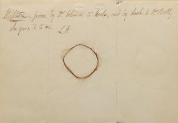 Alleged lock of Milton’s hair from Hunt’s Book of
          Hair