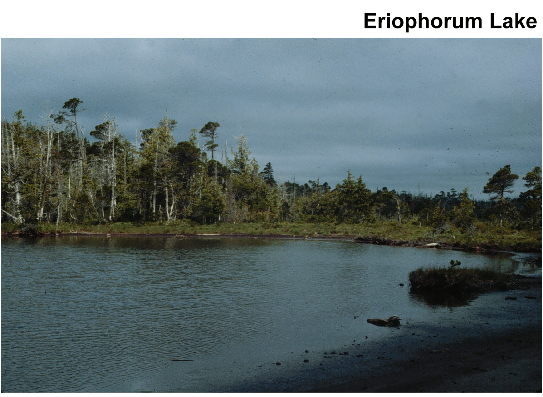 ERIOPHORUM LAKE