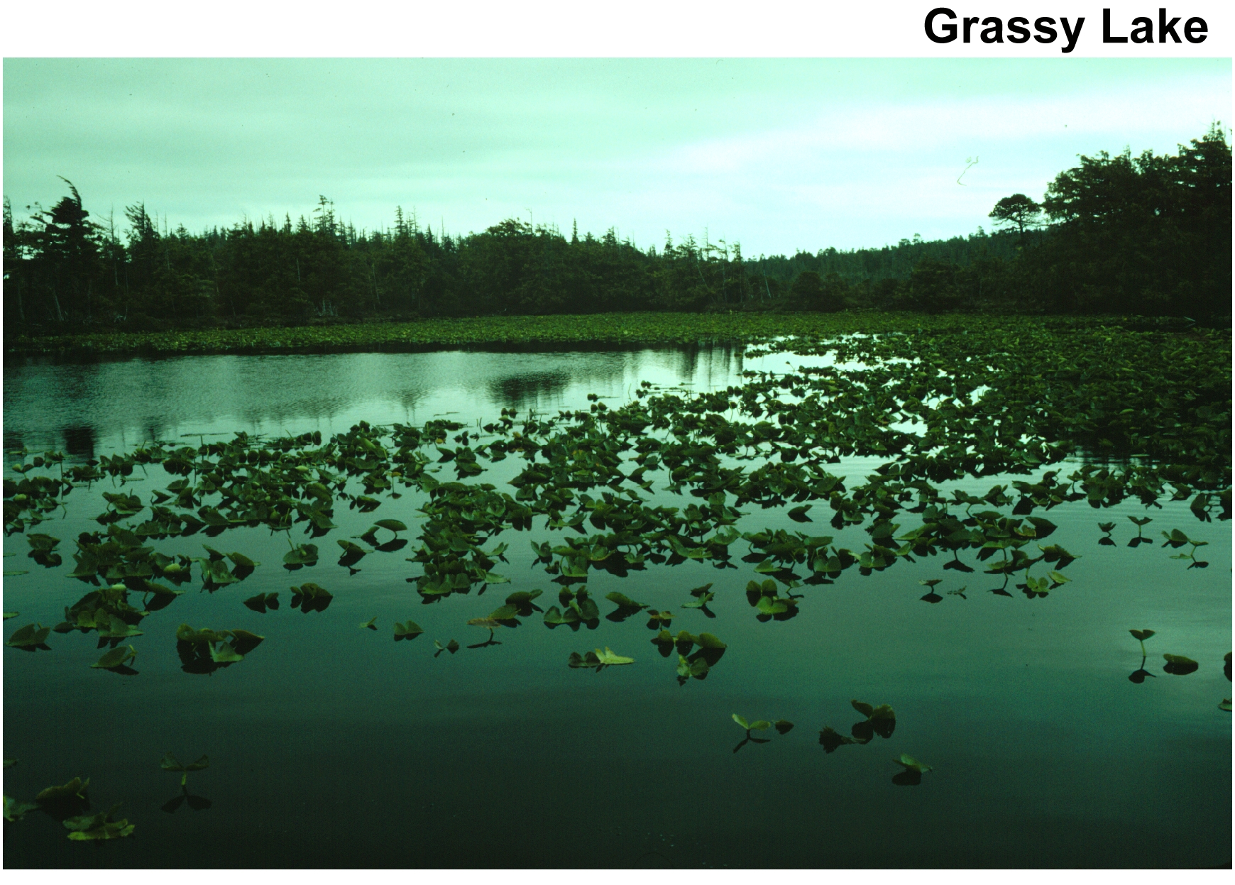 GRASSY LAKE