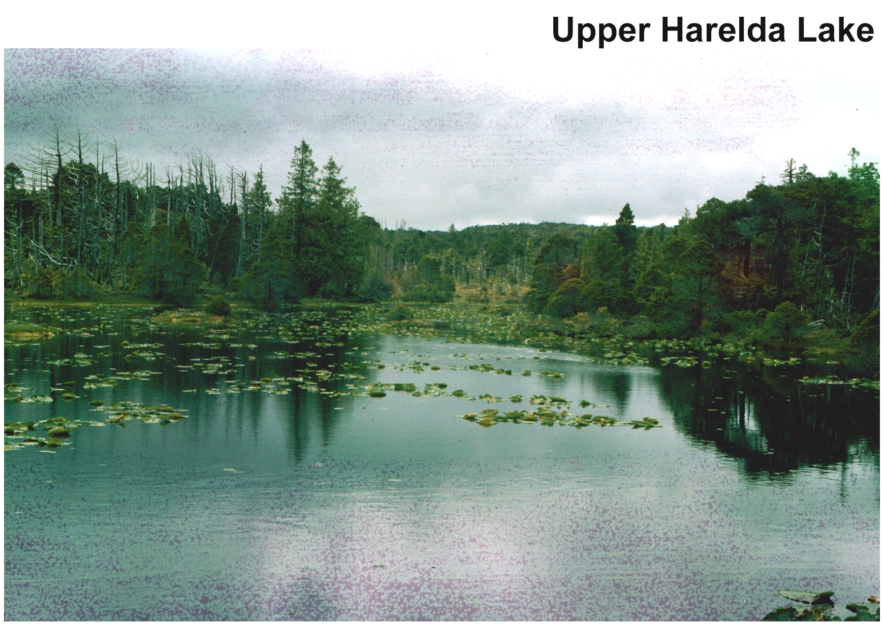 HARELDA UPPER LAKE
