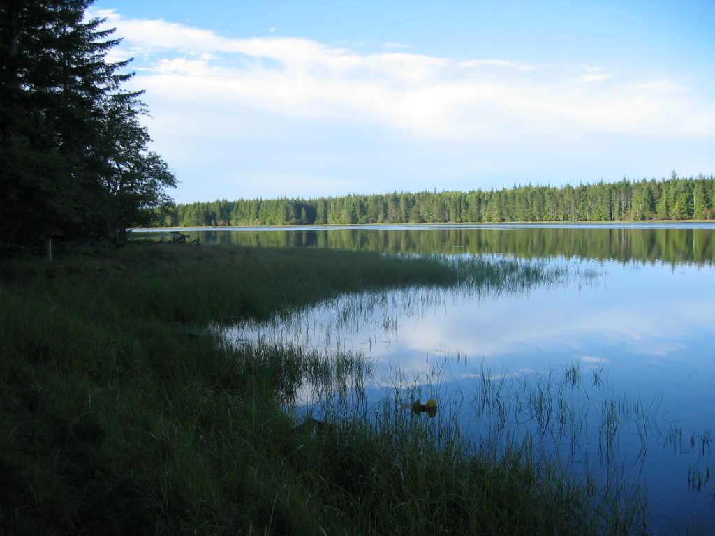 Mayer Lake