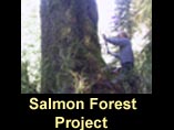 The Salmon Forest Project