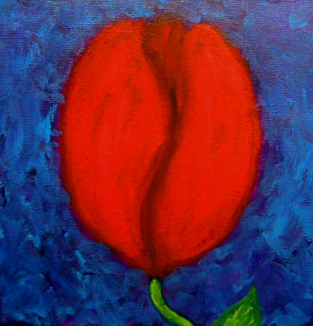 Tulip