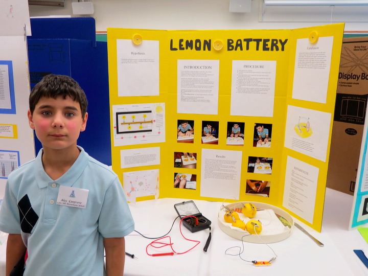 lemon battery introduction