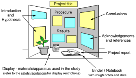 Titles for research papers on animal testing