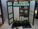 img_2016_1538
