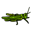 grasshopper-vb.gif