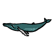 whale-vb.gif