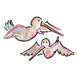 bird-wb (2K)
