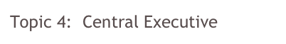Topic 4:  Central Executive