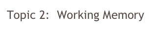 Topic 2:  Working Memory