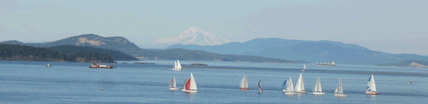 Sail boats off Sidney, BC