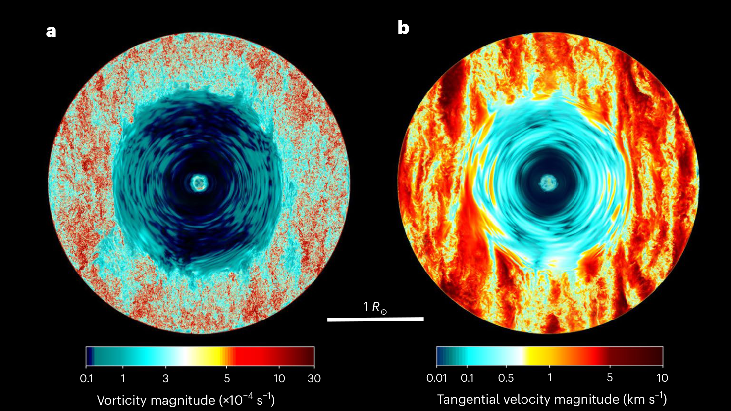Vorticity and tangential velocity slices through a rotating red giant simulation