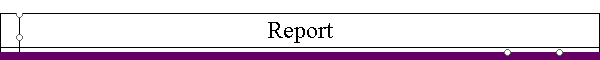 Report