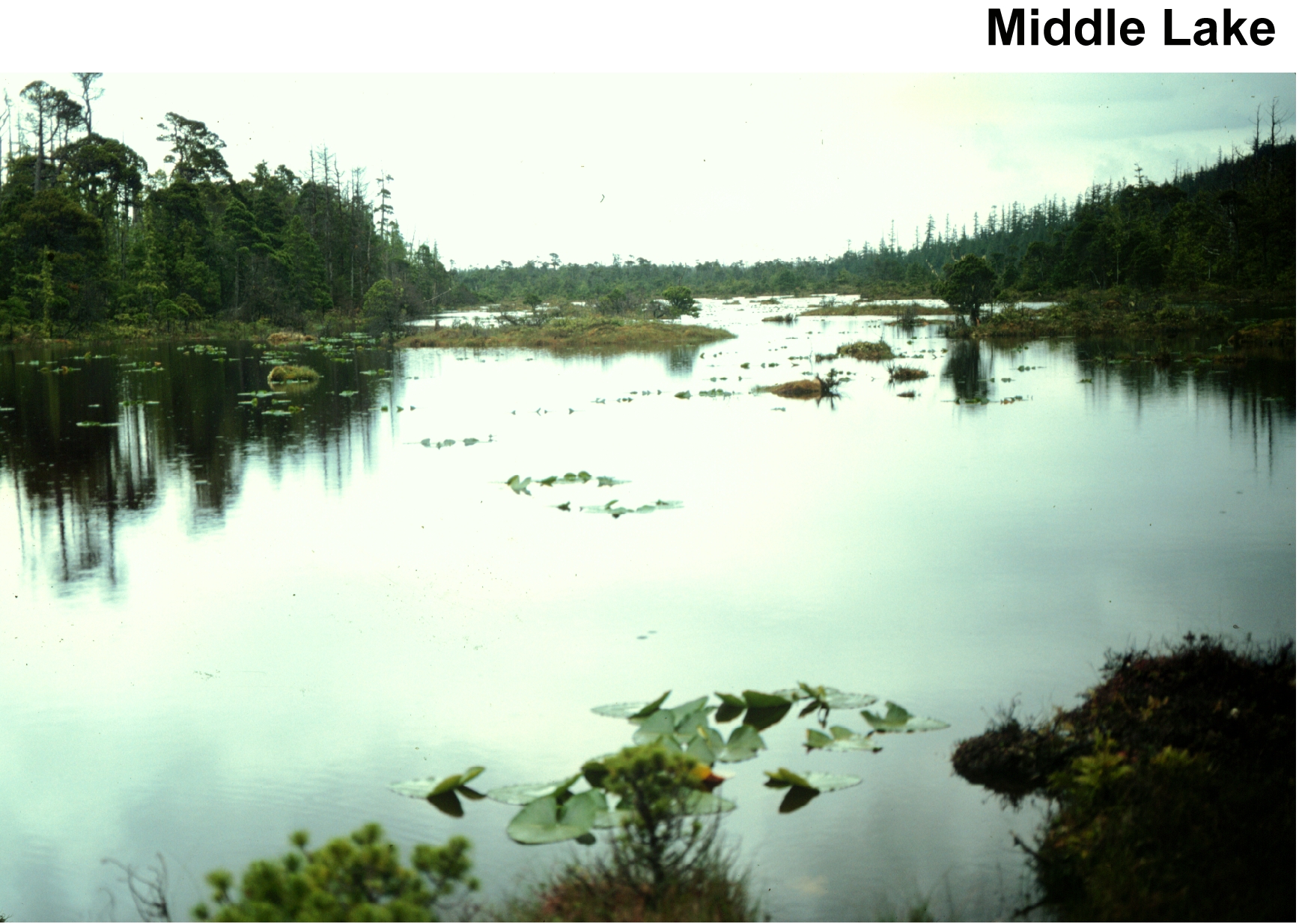 MIDDLE LAKE